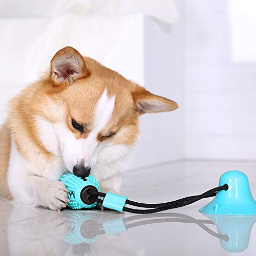 GOGO HUANG Dog Chew Toys Pet Puzzle Suction Cup Toys with Suction Cup Multifunctional Interactive Dog Toys (Blue) - PawsPlanet Australia