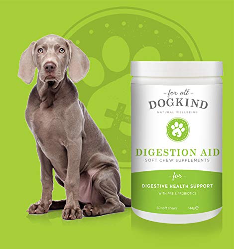 For All DogKind - Digeston Aid natural soft-chew supplements, 60's, 144g for Digestive Health Support with Pre & Probiotics - PawsPlanet Australia