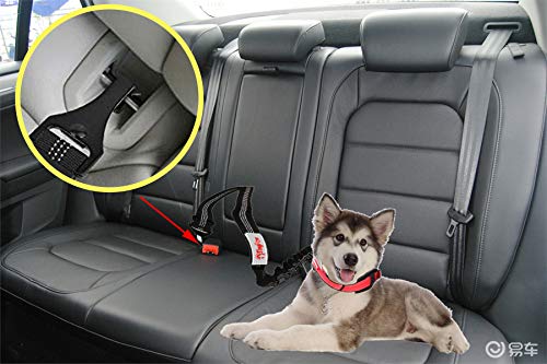 TinyPaw 2pcs Heavy Duty Dog Seat Belt for Car, Great Dog Seat Belt with Bungee & Latch for Safety while sudden brake, All Metal Heavy Duty & Tangle-Free Attachment, Adjustable Length. (Black) - PawsPlanet Australia