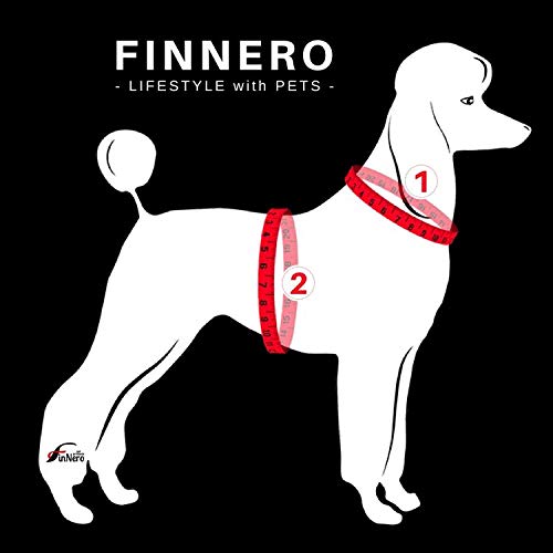 FinNero ATTE Attention Reflective Vest for Dogs, Yellow, XXXL - PawsPlanet Australia