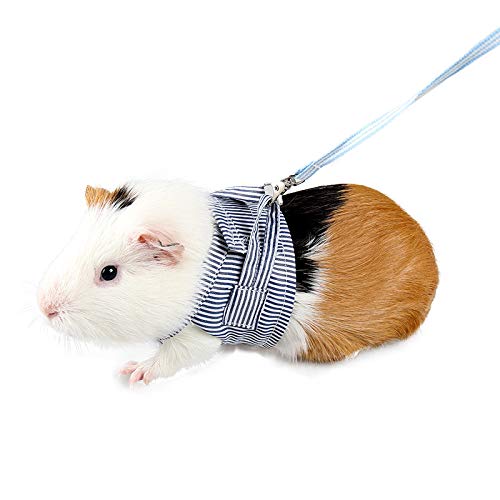 Yissone Blue Stripe Hamster Harness Vest, Small Animal Walking Lead Rope Carrier with Adjustable Leash for Puppy Squirrel Rabbit Chinchilla Outdoor Blue M - PawsPlanet Australia