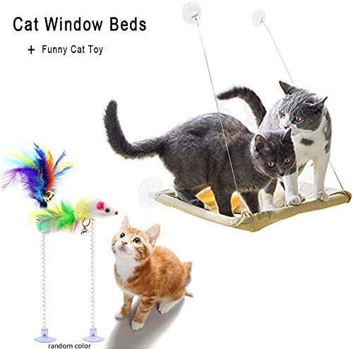 [Australia] - MQ Cat Window Perch, Cat Sunny Bed Seat Hammock with 2Pcs Interactive Cat Wands Suction Cup Cat Window Shelf All -Around 360°Sunbath Space Save Design Holds Up to 50lb for Large Small Cats 
