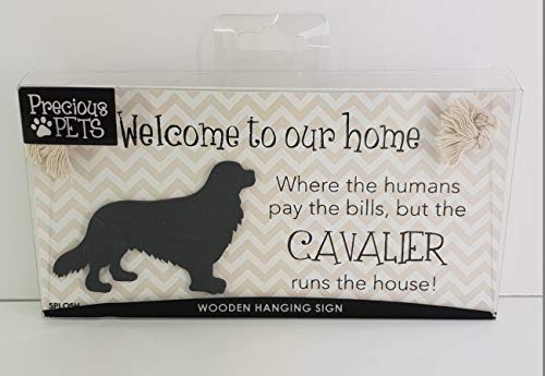 Splosh Precious Pet Dog Plaque and Dog Lead Hook Pack, Cavalier. The funny signs are a personalised mini addition to any dog lovers home, and a welcomed accessory for all dogs. - PawsPlanet Australia