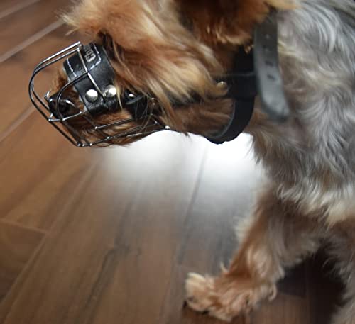 L&J Pets Uk New Wire Basket Dog Muzzle STRONG Metal for Rattler Yorkshire Terrier & other small dogs (Silver Basket / Black Leather, 0), (MK York) Silver Basket / Black Leather - PawsPlanet Australia