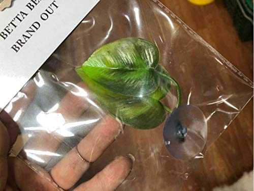 [Australia] - MBODM Betta Fish Leaf Hammock,2Pcs Betta Fish Leaf Bed Pad Plant Leaf Pad Fish Spawning Grounds Breeding Resting Bed 