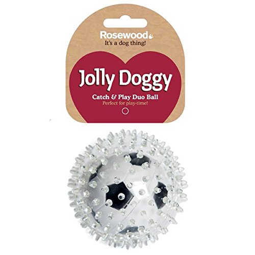 Rosewood Jolly Doggy Catch and Play Football for Dogs, clear - PawsPlanet Australia