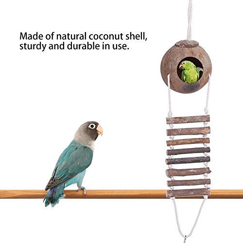 TOPINCN Coconut Shell Bird Nest Natural Breeding Nest Pet Parrot Hideaway House With Rope Ladder for Bird And Small Animal Toy 2 Sizes (#2) #2 - PawsPlanet Australia