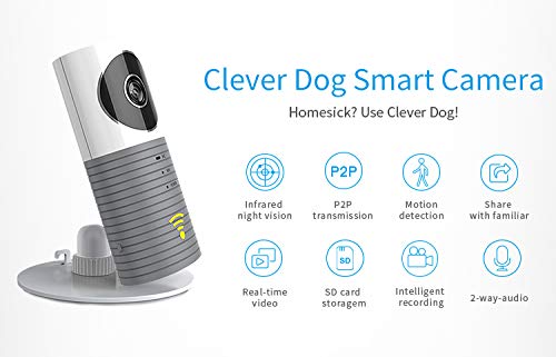[Australia] - Clever Dog Camera Wifi, Small Pet Nanny Camera with Audio and Video, Cell Phone App, Wide Angle, Motion Sensor, Night Vision, Indoor, Cheap Camera for Home Security, Puppy, Baby Monitor GRAY 