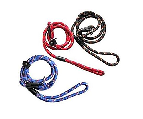 ericotry 1PCS 1.2m Red Adjustable Pet Dog Nylon Adjustable Loop Slip Leash Rope Lead Slip Dog Training Leash and Collar - PawsPlanet Australia