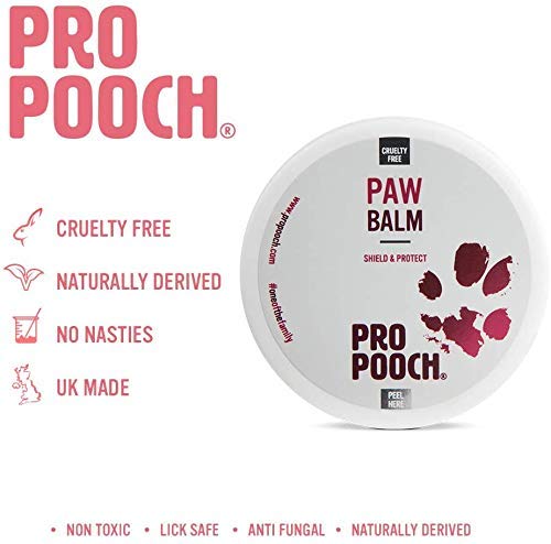 Pro Pooch Dog Paw Balm - Soothing Cream to Protect & Nourish Cracked Pads – Fast Absorbing, Non-Toxic & Lick Safe Paw Butter - Unscented Wax - 100ml Pot - PawsPlanet Australia