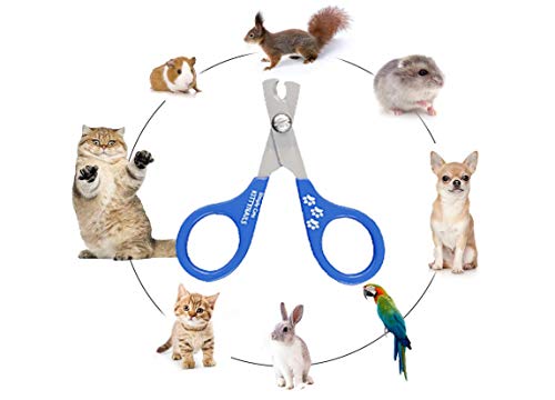 Cat Nail Clippers - Designed by Vets - Pet Nail Cutter For Rabbits, Guinea Pigs and Ferrets Single - PawsPlanet Australia