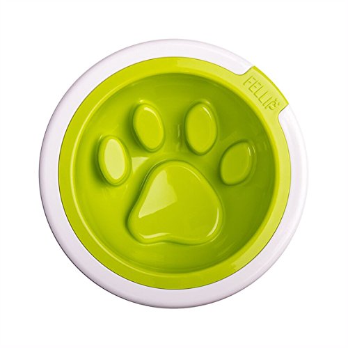 Mix 'n' Match FelliPet Kaleido Slow Feed Dog Bowl, Medium Lime - PawsPlanet Australia