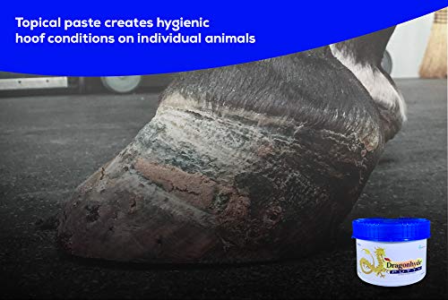 Centaurus AZ Dragonhyde Putty Topical Paste for Hygienic Hoof Conditions, Moisturizer, Conditioner, Gentle and Non-irritating with Excellent Adhesion Plus Chemical Resistant Gloves Net Wt. 400g - PawsPlanet Australia