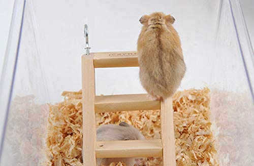 2pcs Hamster Wood Ladder, Guinea Pig Bridge Ladder and Resting Platform Set for Hamster, Hamster Chew Toys - PawsPlanet Australia