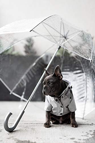 Ellie Dog Wear Zip Up Light Gray Dog Raincoat with Pockets, Water Resistant, Adjustable Drawstring, Removable Hoodie - Size XXS to XXL Available - Stylish Premium Dog Raincoats XX-Small - PawsPlanet Australia