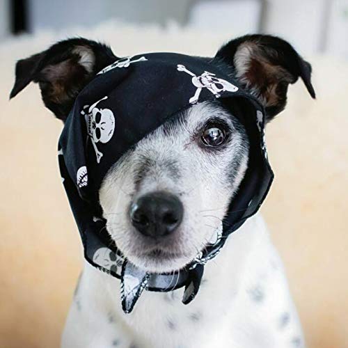 Pet Pooch Boutique Skulls Bandana for Dog, X-Small/Small, Black Single - PawsPlanet Australia