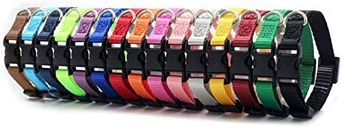 YANGDD Dog Collar, Puppy Collar, Adjustable Pet Collars, Small Nylon Dog Collar, with Safety Quick Release Buckle - PawsPlanet Australia