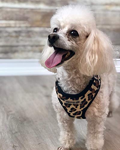 Parisian Pet Freedom Dog Harness, Leopard, M - PawsPlanet Australia