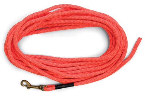 [Australia] - SportDOG Orange Check Cord 