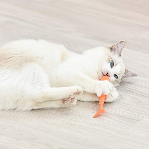 [Australia] - New Version 2 Pieces Cat Catnip Chew Toy Fish Shape Pet Interactive Toy Durable Enviromental Silicone Cleaning Tooth Brush for Cat Kitten 