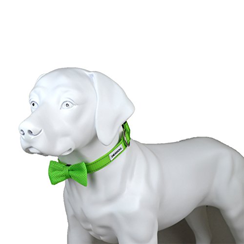 DEXDOG Bow Tie Dog Collar, Male Boy Puppy Accessory (Small, Green) S - PawsPlanet Australia