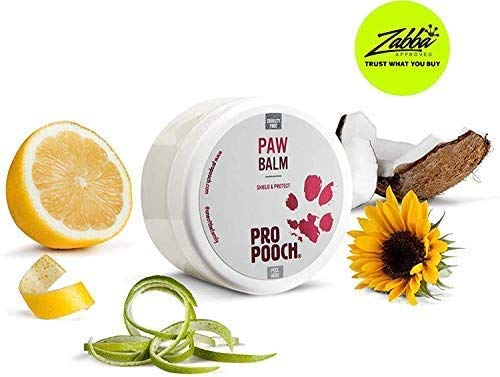 Pro Pooch Dog Paw Balm - Soothing Cream to Protect & Nourish Cracked Pads – Fast Absorbing, Non-Toxic & Lick Safe Paw Butter - Unscented Wax - 100ml Pot - PawsPlanet Australia