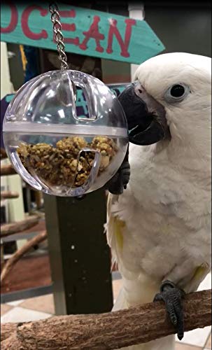 [Australia] - Birds LOVE 3" Hanging Clear Foraging Wiffle Ball to Unscrew with Vine Balls Inside for Bird Cage Medium and Large Bird Toy 