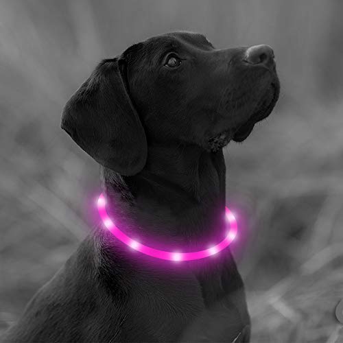 [Australia] - USB Rechargeable LED Dog Collar - Glowing Pet Collar for Dogs, Light Up Doggy Collars Keep Your Dogs Be Seen& Be Safe Adjustable Size Flashing Collars Pink-Silicone 