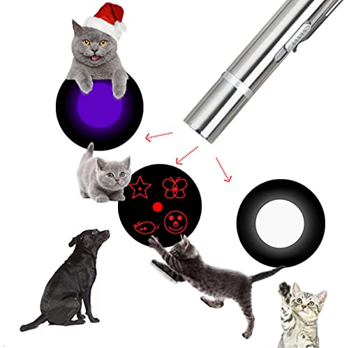 UV Flashlight, Pet Toys, Make Your Pet Play with You, Rechargeable - PawsPlanet Australia