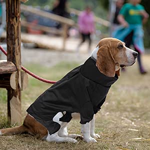 Morezi Dog raincoat, dog rain coat poncho waterproof clothes with safe reflective stripes and zipper closure for small medium and large pet - Black - XS X-Small(Back: 30cm) - PawsPlanet Australia