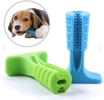 JJMax Dog Self Toothbrush Chew Toy Natural Rubber S M L (Medium) Medium - PawsPlanet Australia