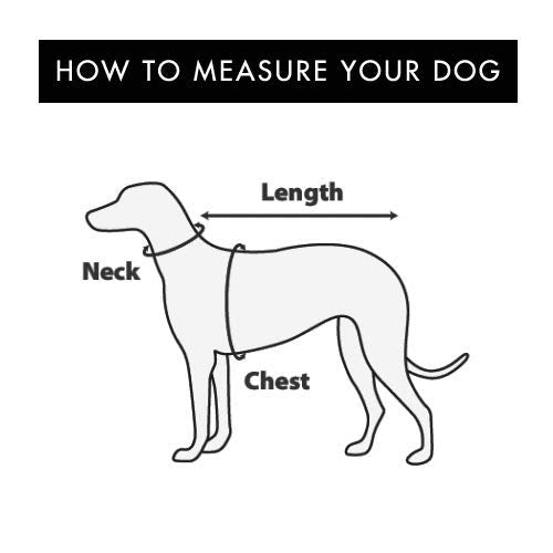 Bark Appeal Mesh Step in Harness X-Small Aqua Blue - PawsPlanet Australia
