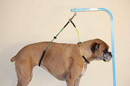 [Australia] - ASOCEA No Sit Haunch Holder Dog Grooming Restraint Cable Loop for Small Medium Dogs 