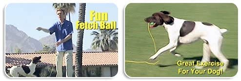 The Perfect Dog Don Sullivan's Secrets to Training Dogs Perfect Dog Fetch Ball - PawsPlanet Australia