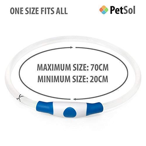 PetSol Ultra Bright USB Rechargeable LED Dog Safety Collar - Cut To Fit Any Size - Rechargeable Lithium Battery - Increased Visibility & Safety For Your Pets (Blue) Blue - PawsPlanet Australia