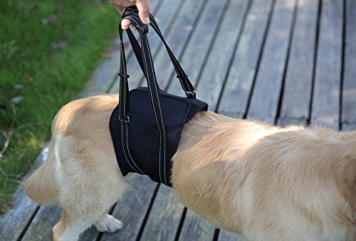 Dog Lift Harness Sling ACL Brace Limping Help Up Aid Veterinarian Approved for Cruciate Ligament Support,Canine Arthritis,Rehabilitation,Poor Stability,Joint Injuries,Mobility and Recovery - Black - S 63*14CM - PawsPlanet Australia