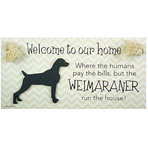 PRECIOUS PETS DOG PLAQUE AND DOG LEAD HOOK PACK, WEIMARANER, FUNNY SIGNS, DOG MUM GIFTS, DOG ACCESSORIES, HOUSE STUFF - PawsPlanet Australia