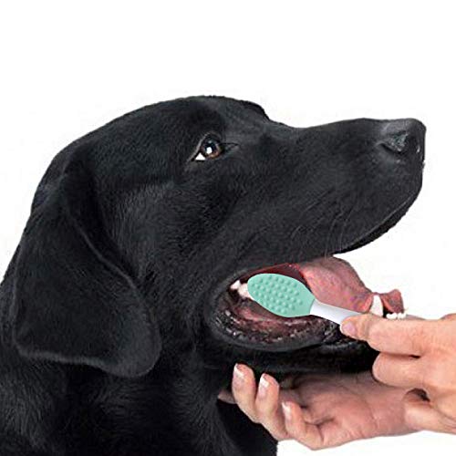 ANTOLL Pets Silicone Soft Head Dog cat with Toothbrush Dog cat Teeth Cleaning Health Care（4-Parks） - PawsPlanet Australia