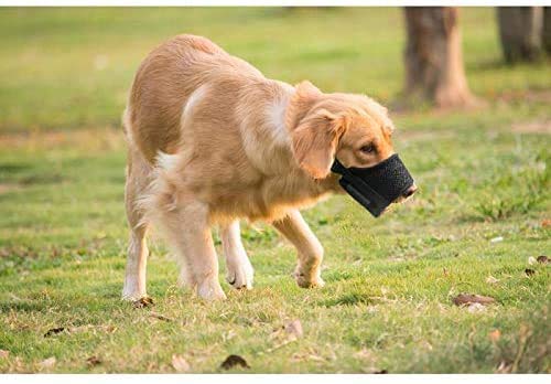 Voarge Muzzles for dogs, with adjustable loop, breathable mesh, soft fabric and soft dog muzzle to prevent biting, chewing and barking. - PawsPlanet Australia