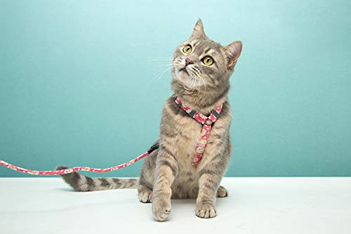 [Australia] - Lollimeow Pet Cat Harness with Leash Set, Puppy Dog Adjustable Collar Leash Escape Proof Small Cerise 