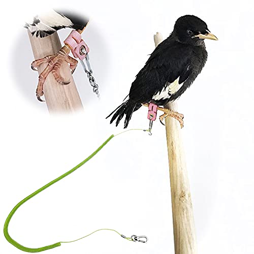 Parrot Bird Harness Leash Anti-bite Outdoor Flying Training Rope with 5pcs Different Sizes of Soft Foot Loops and Training Whistle(Upgraded Version of Ankle Ring) - PawsPlanet Australia