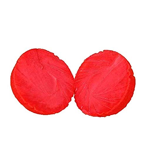 Dog Training High Bounce Solid Ball Doggy Play Balls Hours for Fun for All Dogs and Puppies Solid Rubber Boomer Ball Funny Chew Play Toys (Red & Orange) Red & Orange - PawsPlanet Australia