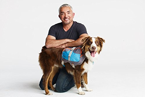 Cesar Millan Dog Backpack (Small, Blue) Small - PawsPlanet Australia