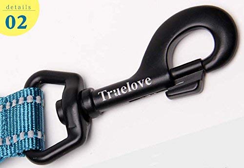 [Australia] - TRUE LOVE Reflective Dog Leash Puppy Walking Lead, Padded Pet Chain Rope，Length 200cm Truelove TLL2111 L Blue 