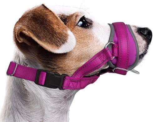 Nasjac Dog Muzzle, Soft Muzzle Medium Dogs to Prevent Biting Anti-Barking Stop Chewing Food Adjustable Dog Mouth Guard, Durable Small Large Dog Muzzles S Fuchsia - PawsPlanet Australia
