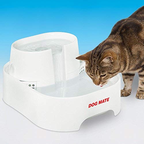 Dog Mate Large Fresh Water Drinking Fountain for Dogs and Cats - PawsPlanet Australia