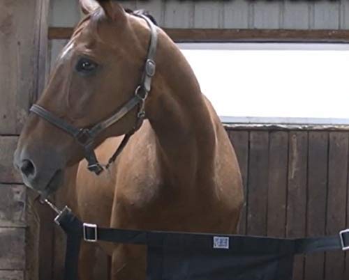 Dura-Tech Cordura Horse Stall Guard | Great for Use at Shows | Double Vinyl Coated Polyester Center | 2" Nylon Web Straps | Adjusts from 36" - 48" | Fits Most Stall Openings Black - PawsPlanet Australia