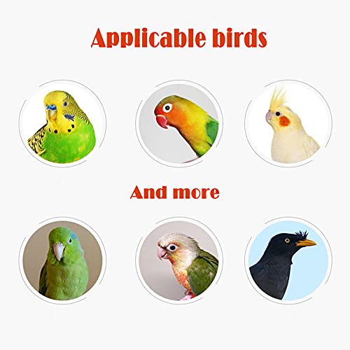 Bird Toys for Parakeets, 4 Pcs Parrot Toys Budgie Cockatiel Toys Bird Training Toys Set Include Bird Basketball Toy Skateboard Stacking Toy and Parrot Wooden Block Puzzles - PawsPlanet Australia