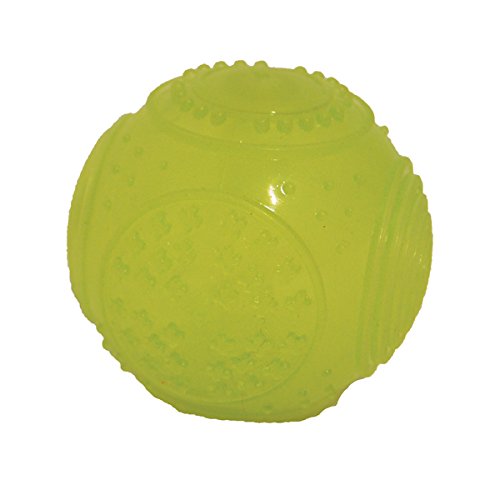 Rosewood GLOW IN THE DARK BALL - PawsPlanet Australia