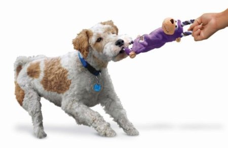 KONG - Tugger Knots Monkey - Tug of War Dog Toy, Minimal Stuffing and Looped Ropes for added Strength - For Small/Medium Dogs - PawsPlanet Australia